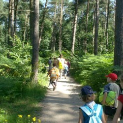 HPIM0667 - Scouts en Gidsen Zaventem 